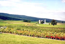 [photo, Farmland, Catoctin (Washington County), Maryland]